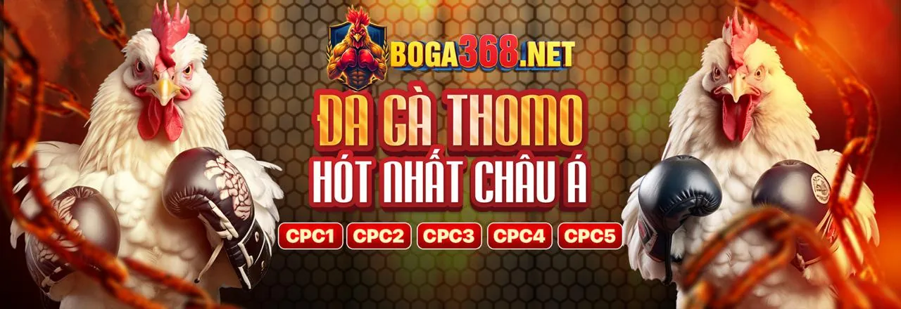 Đá gà trực tuyến new88.cc